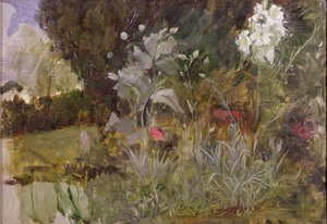 花与叶研究，“魔法花园”（布面油画）（参见190595） 作者 约翰·威廉姆·沃特豪斯