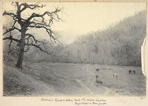 伊朗拉扎维呼罗珊省，约 1908 年（黑白照片）