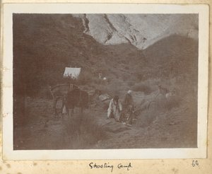 伊朗拉扎维呼罗珊省，约 1908 年（黑白照片）