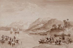 设计2：热带地区的库克船长（水彩）。 作者 约翰·威尔逊·卡迈克尔