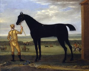 德文郡公爵的赛马 "Basto"，约1708-25（布面油画）。 作者 约翰·伍顿