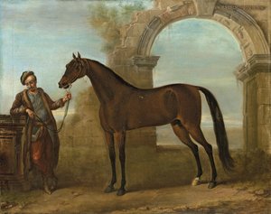 戈多芬·阿拉比恩（Godolphin Arabien），新郎举行，风景如画，拱成拱顶，1731 作者 约翰·伍顿