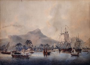 1787年的花he风景