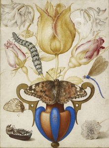 花瓶中的花的安排，与昆虫，1594（牛皮纸上的黄金水彩） 作者 乔里斯·霍夫纳格尔