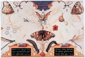 带花朵和昆虫的双联画，1591年。 作者 乔里斯·霍夫纳格尔