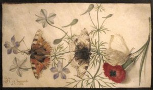 花与蝴蝶研究 作者 乔里斯·霍夫纳格尔