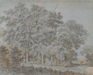 森林与骑士 作者 乔里斯·范德·哈根