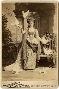 Alva Vandebilt穿着1883球（棕褐色印花）