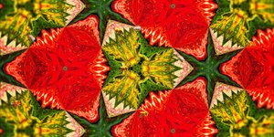 生物玫瑰园里的蜜蜂 作者 约瑟夫·约翰·迈克尔