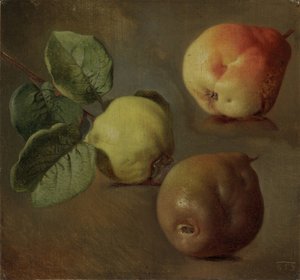 Les coins - Quince - Josef Navratil (1798-1865)。 布面油画 作者 约瑟夫·马特杰·纳夫拉蒂尔