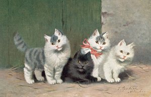 猫明信片（彩色平版）