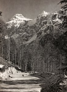 专辑“Meine weltkriegs - Erinnerungen South-West Front (Carinthia, Italien, South Tyrol) (My world war - memory of the South-Western Front in Carinthia, Italy, Trentino-Alto Adige) 31/03/1915-12/11/ 1918 - Josef Zohles Wien“：山路（黑白照片） 作者 约瑟夫·佐尔斯（Josef Zohles）