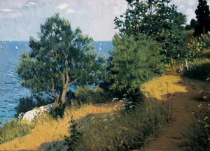 维拉萨尔海岸 Joan LLIMONA i BRUGUERA (1860-1926) 画布油画。 巴塞罗那，蒙特塞拉特博物馆。 作者 何塞普·利莫纳·布鲁格拉