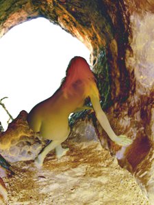在山洞里 作者 约瑟夫·安吉拉·奥奎尔