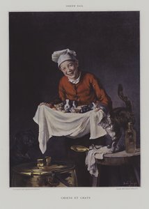 狗和猫