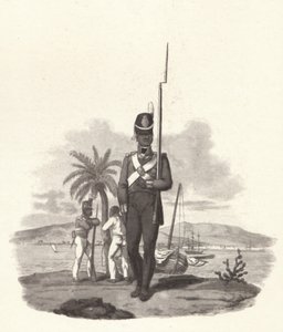 西印度第五军团私有，c1812 1909年 作者 约瑟夫·康斯坦丁·斯塔德勒