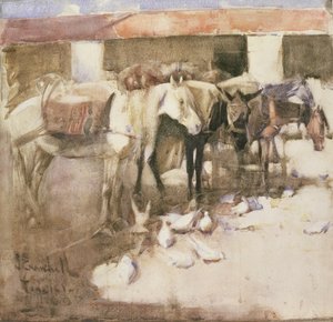 1888年在摩洛哥的桑加尔（wc和纸色的身体颜色）