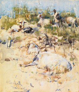 山坡上的山羊，丹吉尔（纸上水粉水彩画）