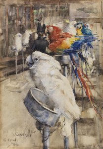 克利夫顿鸟舍