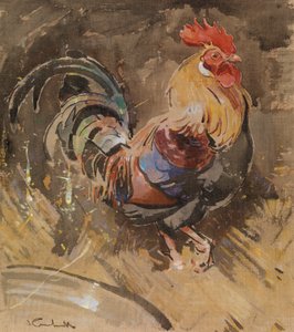 梅诺卡岛公鸡（亚麻布水粉画）