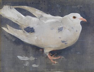 鸽子》（亚麻布水粉画）