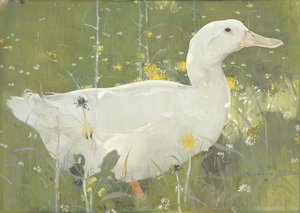 The White Drake (gouache on canvas)