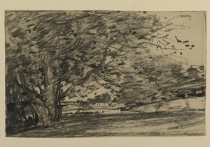 树木的研究，1870年（石墨在纸上）