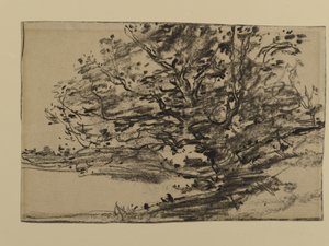 树木的研究，1870年（石墨在纸上）