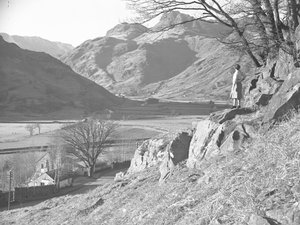站在树下岩石上眺望 Langdale Fells 美景的女子 作者 约瑟夫·哈德曼
