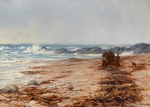 采集海带（布面油画）