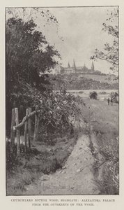 Churchyard Bottom Wood，Highgate，Alexandra Palace from the Outskirts of the Wood 作者 约瑟夫·霍兰·特林厄姆