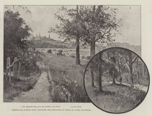 Churchyard Bottom Wood，Highgate，其中的浮动正在讨论中 作者 约瑟夫·霍兰·特林厄姆