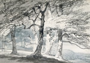 萨里（Surrey）诺伯里公园（Norbury Park）（铅笔和纸上水彩） 作者 约瑟夫·马洛德·威廉（约瑟夫·特纳）