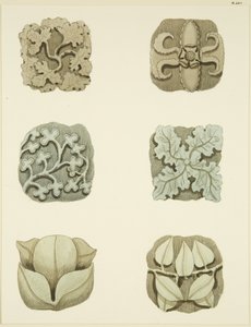 圣玛丽-雷德克里夫教堂天花板上的凹槽石（老板）（纸上水彩画 作者 约瑟夫·曼宁