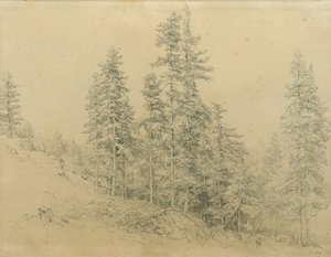 Edeltann 作者 约瑟夫·马丁·霍格