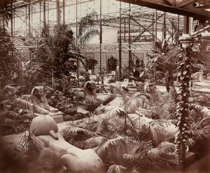 伦敦的水晶宫：热带部分，约1870年（黑白照片