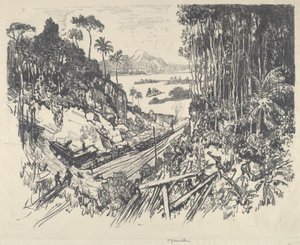 丛林》，1912年。 作者 约瑟夫·彭内尔