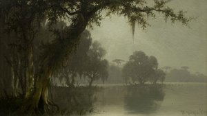 沼泽场景