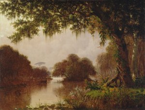 密西西比河上的沼泽，1871年