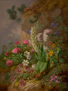 高山鲜花 作者 约瑟夫·舒斯特
