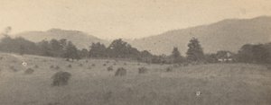 山林风景，约 1900 年1900 年（照片）