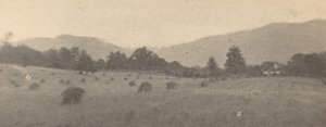 有树木和山脉的风景，约1900年。