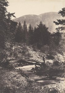 蓑衣瀑布的溪流，Bagnères de Luchon，1853年。