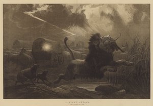 夜袭 作者 Joseph Wolf
