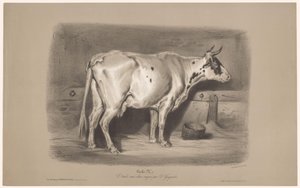 牛在马厩里 Vache（物体上的标题） 两种粉笔的动物研究（系列标题） Étude aux deux crayons par Z. Gengembre（物体上的系列标题） 作者 弗朗索瓦·德拉鲁