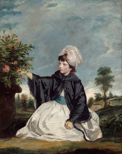 卡罗琳·霍华德夫人的画像 作者 约书亚·雷诺兹（Joshua Reynolds）