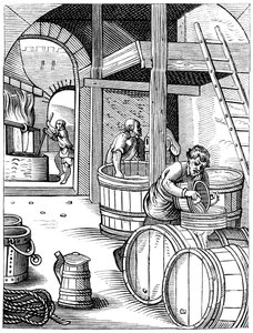 布鲁尔（Brewer），16世纪，1849年。