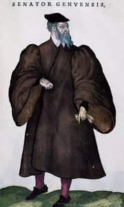 Genovese参议员，来自Habitus praecipuorum popularum的雕刻品 作者 约斯特安曼