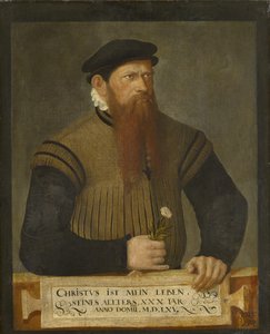 1565年，一个有胡子的人的肖像 作者 约斯特安曼