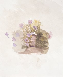 鸟巢花 II（绘画）